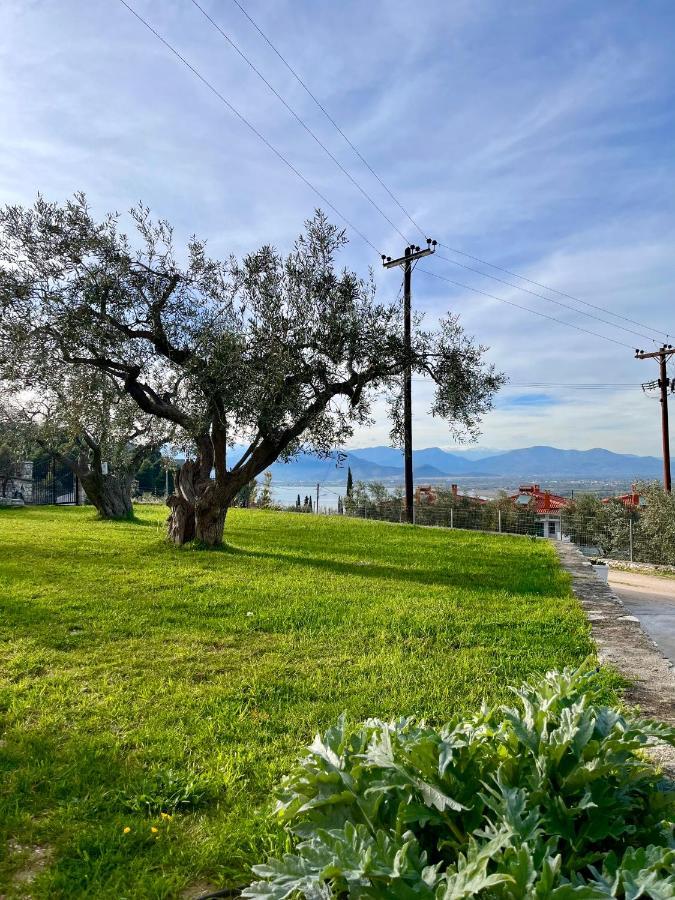 Ενtree Guest House Near Palamidi Castle Nafplio Bagian luar foto